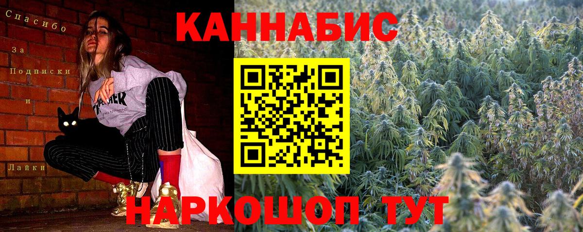 Бошки марихуана планчик Мытищи